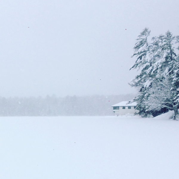 2016 Winter