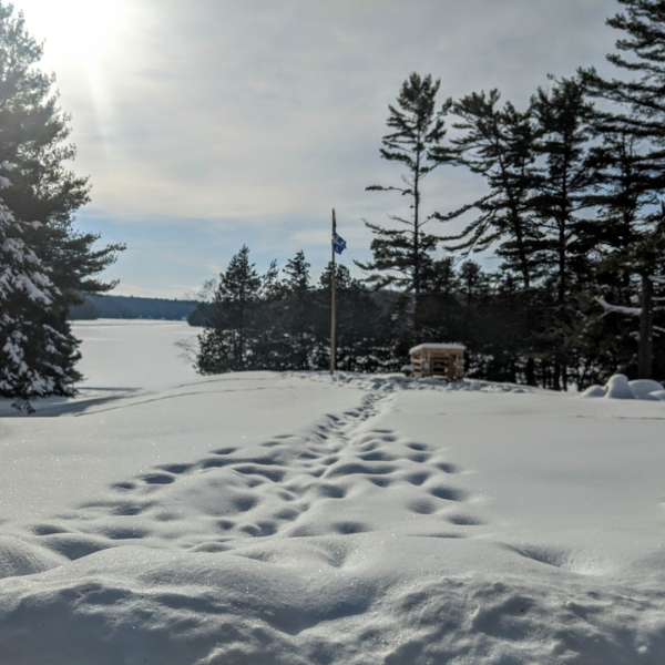 2017 Winter